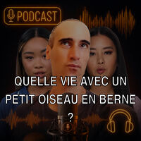 Podcast Cover